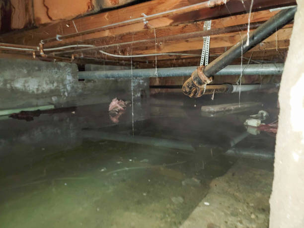 Best Water damage restoration near me  in Amerin Nyon, CA