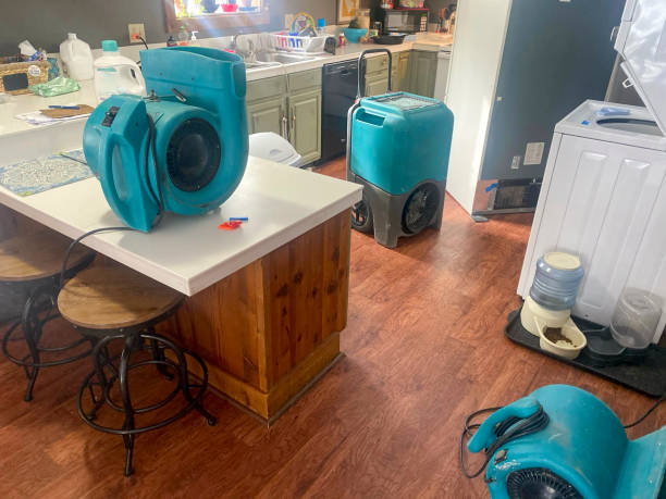 Water damage restoration mold remediation in American Canyon, CA