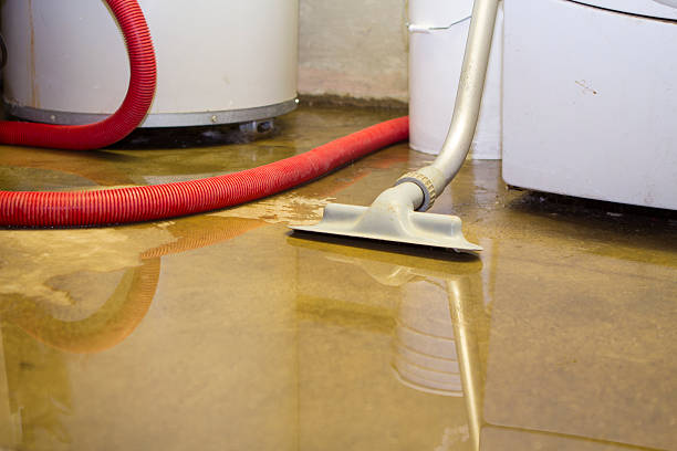 Professional Water damage restoration in American Canyon, CA