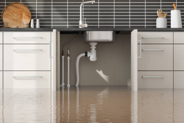 Best Emergency water damage restoration  in Amerin Nyon, CA