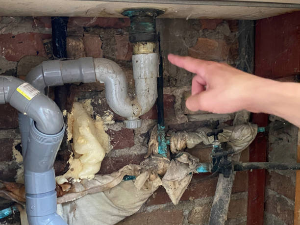 Best Carpet water damage restoration  in Amerin Nyon, CA