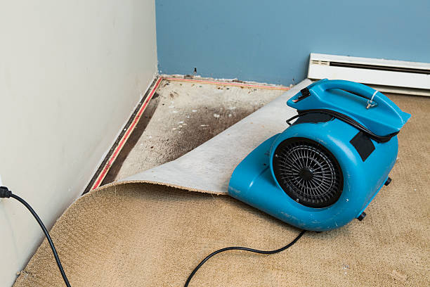 Professional Water damage restoration in American Canyon, CA